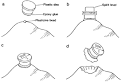 archaeomagnetic analysis --