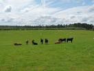 on the Anglo-Scottish border occupied by families of Border Reivers, - via Daymix