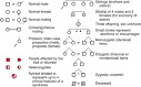 Overview of Genetics: General Principles of Medical Genetics ...