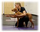 Welcome to Canine Care!