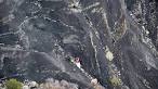 Germanwings crash in French Alps - MarketWatch.