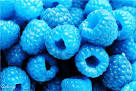 Blue-Raspberry listings | Blue-Raspberry US – free ads – the best ...