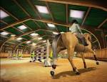 Download My Horse and Me Free Full Version