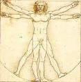The Vitruvian Man