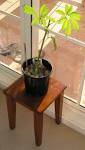 jar half full of water, - via Daymix