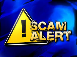 images?q=tbn:ANd9GcRPfIz0YAR_SMcy7E8Lf8YiUvmBdpA8S4nQA12sbdOn1g-4jo_VCw