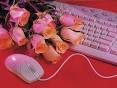 Love-seekers warned about online dating scams | Perth Now
