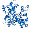 Actin - Wikipedia, the free encyclopedia