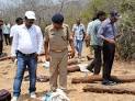 Survivor exposes red sanders encounter : Times of India