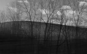 images?q=tbn:ANd9GcRQR8Xj2ZSAMhclxKNAcr4fHXjKvZHrKzFEK3_JAGyieViz72pckA