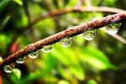 Creative Controls For Depth of Field – PictureCorrect