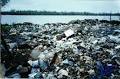 State of the Environment - Georgia - Toxic Contamination