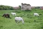 Marmaduke Constable added a chalk pele tower and curtain wall to the - via Daymix