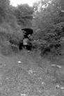 ST7259 : Combe Hay tunnel - via Daymix
