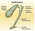 Gastrointestinal Surgery - Gall Baldder Disease