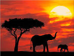Silhouetted_Kenya.jpg