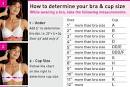 Why You Should Know How to Measure Bra Size How To Measure Bra Size