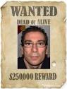se-busca. Border Radius.