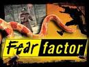 Amazon.com: Fear Factor: Season 6, Episode 22 "Celebrity Fear ...