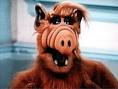 ALF - ALF Wiki