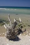 the beach in albania (dead - via Daymix