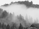 Monte Bello Open Space Preserve: 1-