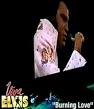 Elvis Information Network - The best news, reviews, interviews ... 