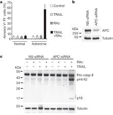 ... Eckhard Alt, Xiaowen Bai, Shaoyi Huang, Zhengming Xu, Patrick M. Lynch, Mary P. Moyer, Xian-Feng Wen \u0026amp; Xiangwei Wu. Nature 464, 1058-1061(15 April 2010) - nature08871-f1.2