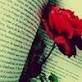 http://t1.gstatic.com/images?q=tbn:ANd9GcRSaKrhhDyjT2S1EHzD0ZSlx0OyNjpAgZhUOWp2HIv_cNX1PEK67HehAg