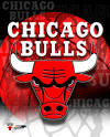 the Chicago Bulls live on