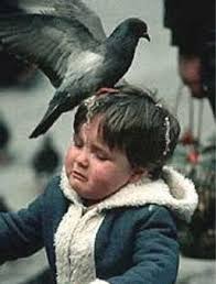 images?q=tbn:ANd9GcRT71XfVLhE0Qiah0vBA2USHXmctp_sI_TIWNfa4hONi_i3zn0&t=1&usg=__O9NWZu_f3Z51C0zmip5RnInpjak=