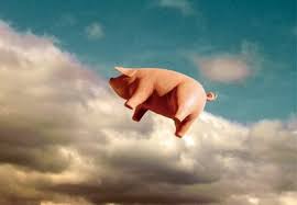 images?q=tbn:ANd9GcRTVp1iNKUHxh3fjBG-OBPuTwJsEnudX1BV8SW2HMmpklh0ushSdQ