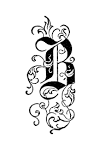 B #2 | Diffusibility Site