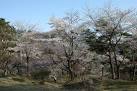 ファイル:きみまち阪.jpg - Wikipedia