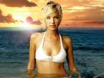 Ashley Scott Picture 4
