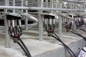 external image images?q=tbn:ANd9GcRTlwa37VxZ3g7Mvl3j7DG7MLqct6b556vss9ZZ-mJ30akCP-jM