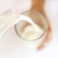 chickensense » Blog Archive » Storing and Using Dried (Powdered) Milk