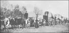 Wagon Train