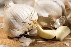 Garlic