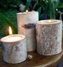 Lots of Trees/free wood- What to do with it? DIY :  wedding diy enchanted forest decorating wood fallen trees Images?q=tbn:ANd9GcRTwmP6C9JqKlOLV4qhyLVaZWdGLZg4wwVt8eNA ZDTazyhWANC2tbKVNI3