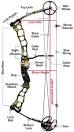 Compound Bow Selection Guide - HuntersFriend.