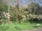 the Maryon-Wilson family, - via Daymix