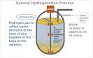 Oils &amp; Shortenings - Hydrogenated oil vs. partially hydrogenated ...