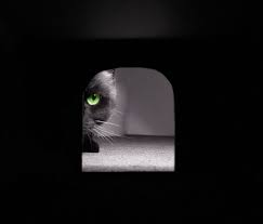 images?q=tbn:ANd9GcRUR0xmhQb0Ei0k7QbIPYqZcOGzIJJIXNAu9kJX5_OQjp8erpEgLw