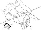 Pasari si insecte | REVISTA BABY: Pentru părinti și copii | Page 2