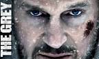 Liam Neeson has kicked way to