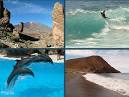 Tenerife Holidays - Hotels, Accommodation and Business Directory
