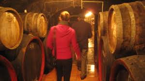Emma and Lajos Gál passing by the many barrels, Gál Lajos Cellar - emma-and-lajos-gal-passing-by-the-many-barrels-gal-lajos-cellar