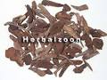 Radix Sanguisorb
ae (Garden Bur ...
