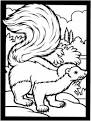 Skunk coloring page